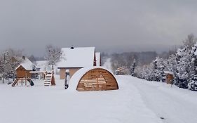 Domki Brzozówka w Bieszczadach